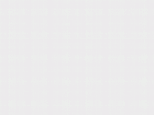 Grid background
