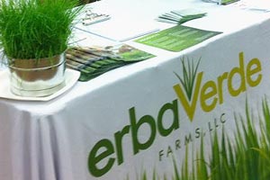 Erba Verde Farms: Table Display