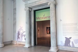 Albright-Knox: Menagerie Exhibition