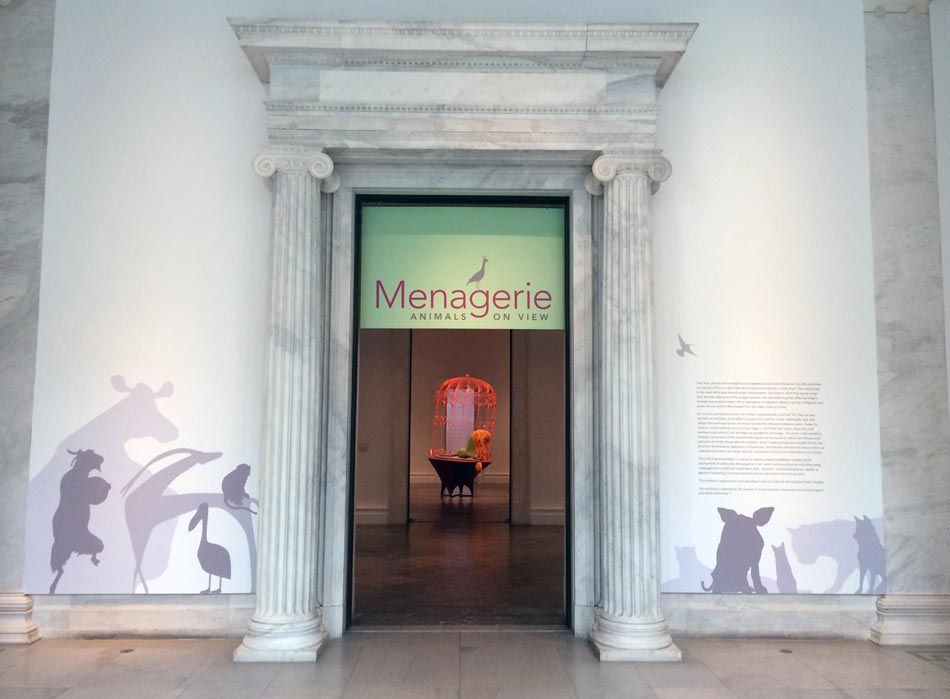 Albright-Knox: Menagerie