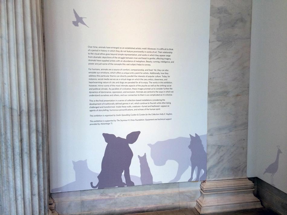 Albright-Knox: Menagerie