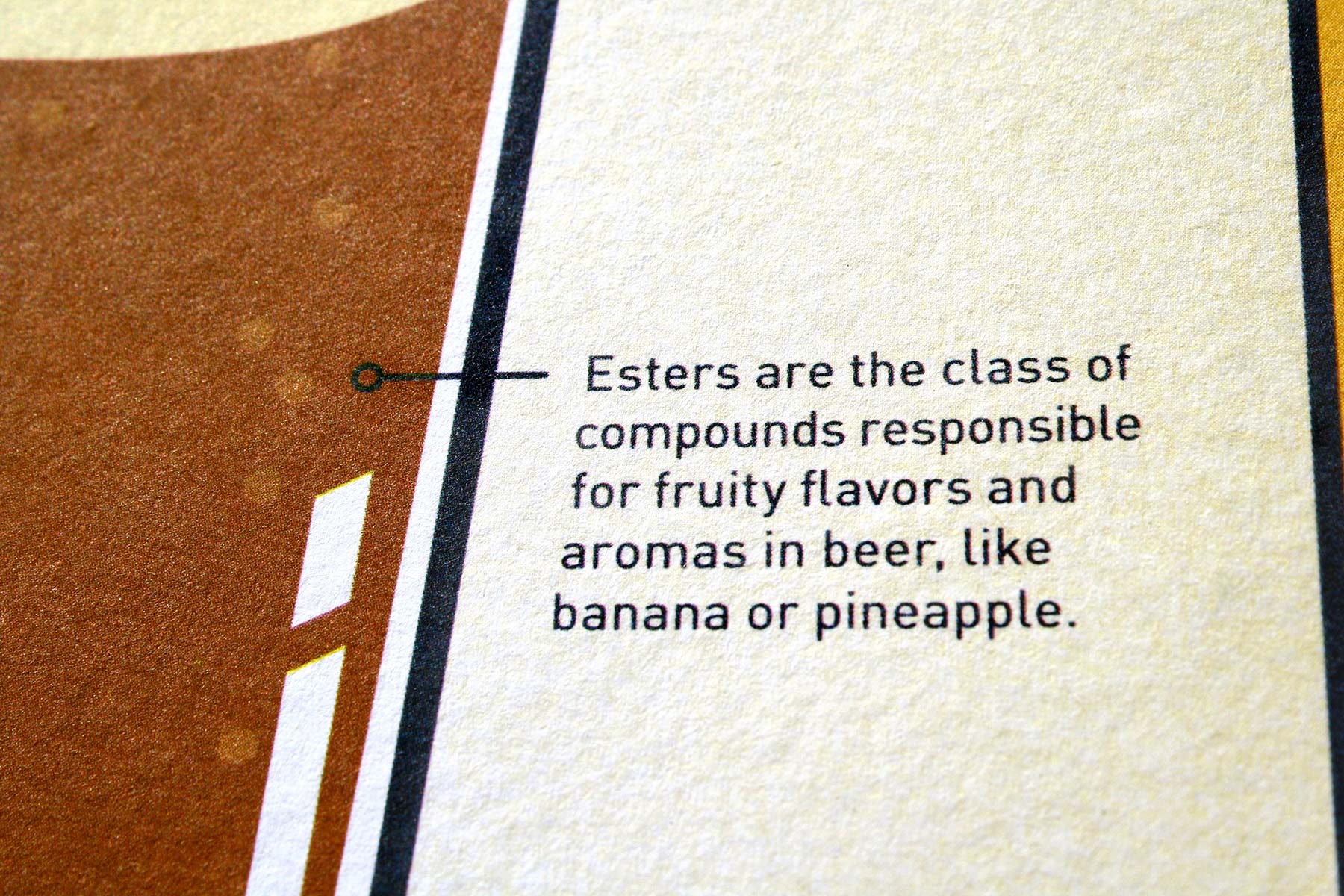 HWI: Brewing Science postcard invitation - factoid